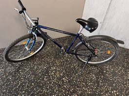 Velo