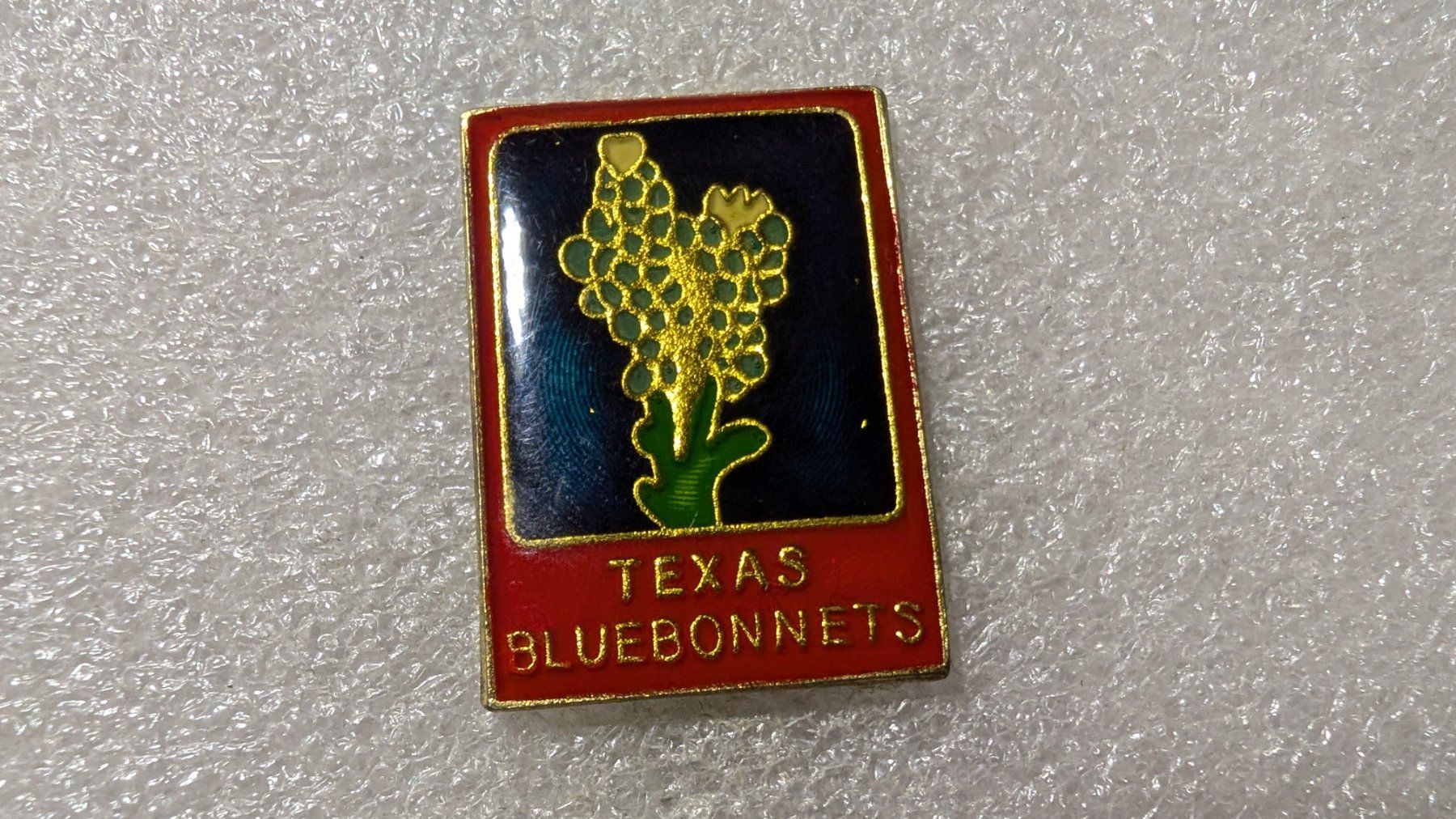 Placchette & Badge: Ansteckpin 206: Texas – Usato da Oppligen venduto da Pin-Fall-Shop