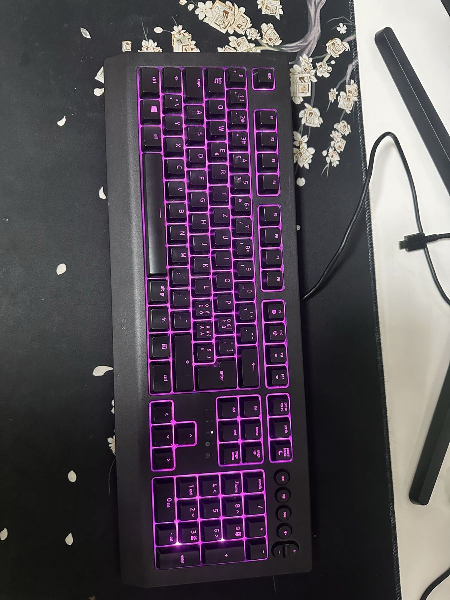 Razer Tastiere: Razer Gaming Tastatur  – Usato da Zürich venduto da ism_7wbp