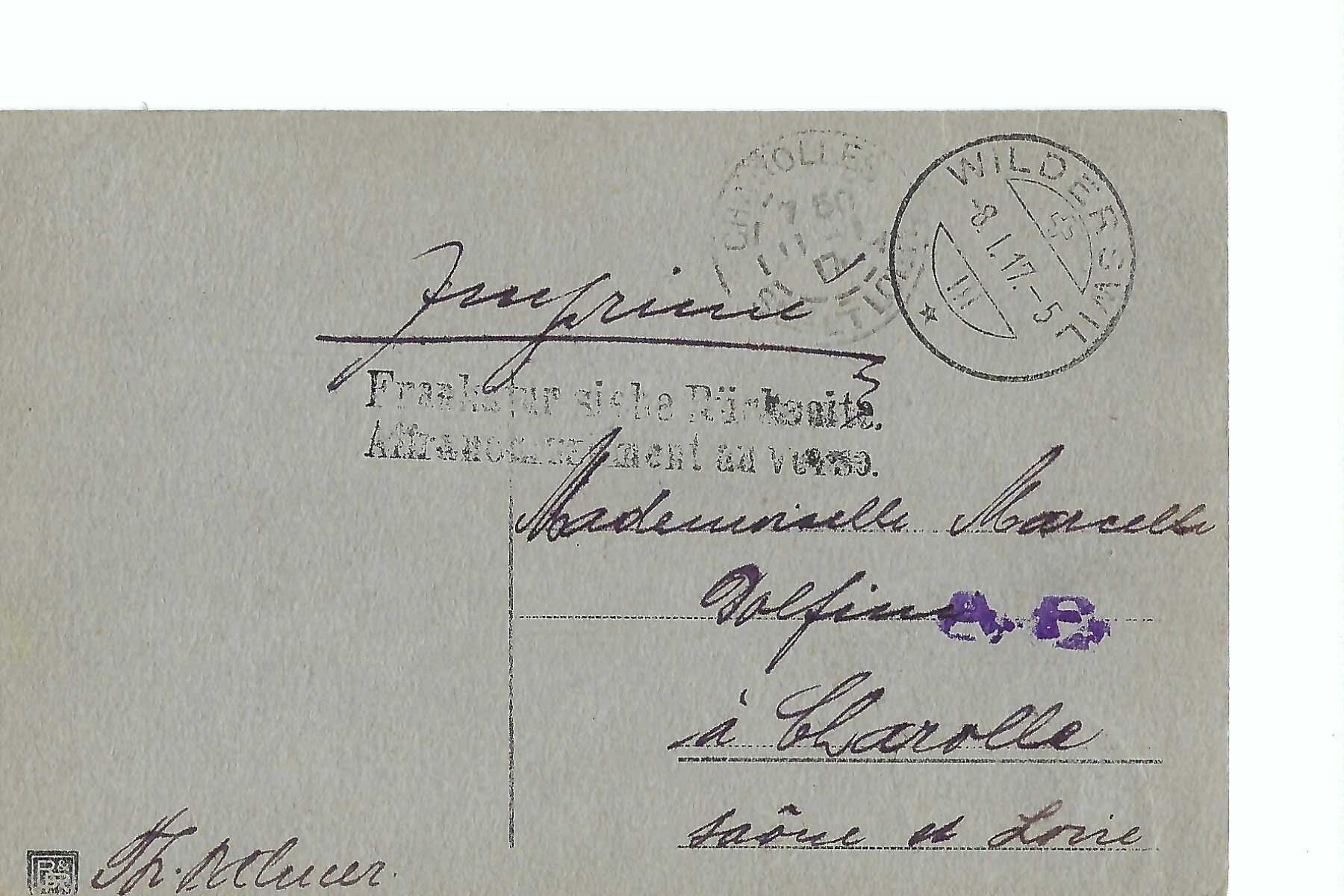 Cartoline postali: Alphütte, Edelweiss, Schweizerfahne, 1917 frankiert – Usato da Thun venduto da 44wart 1