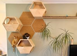 Wand-Kletterhaus Katze Holz sechseckig guter Zustand
