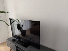 SONY Bravia TV