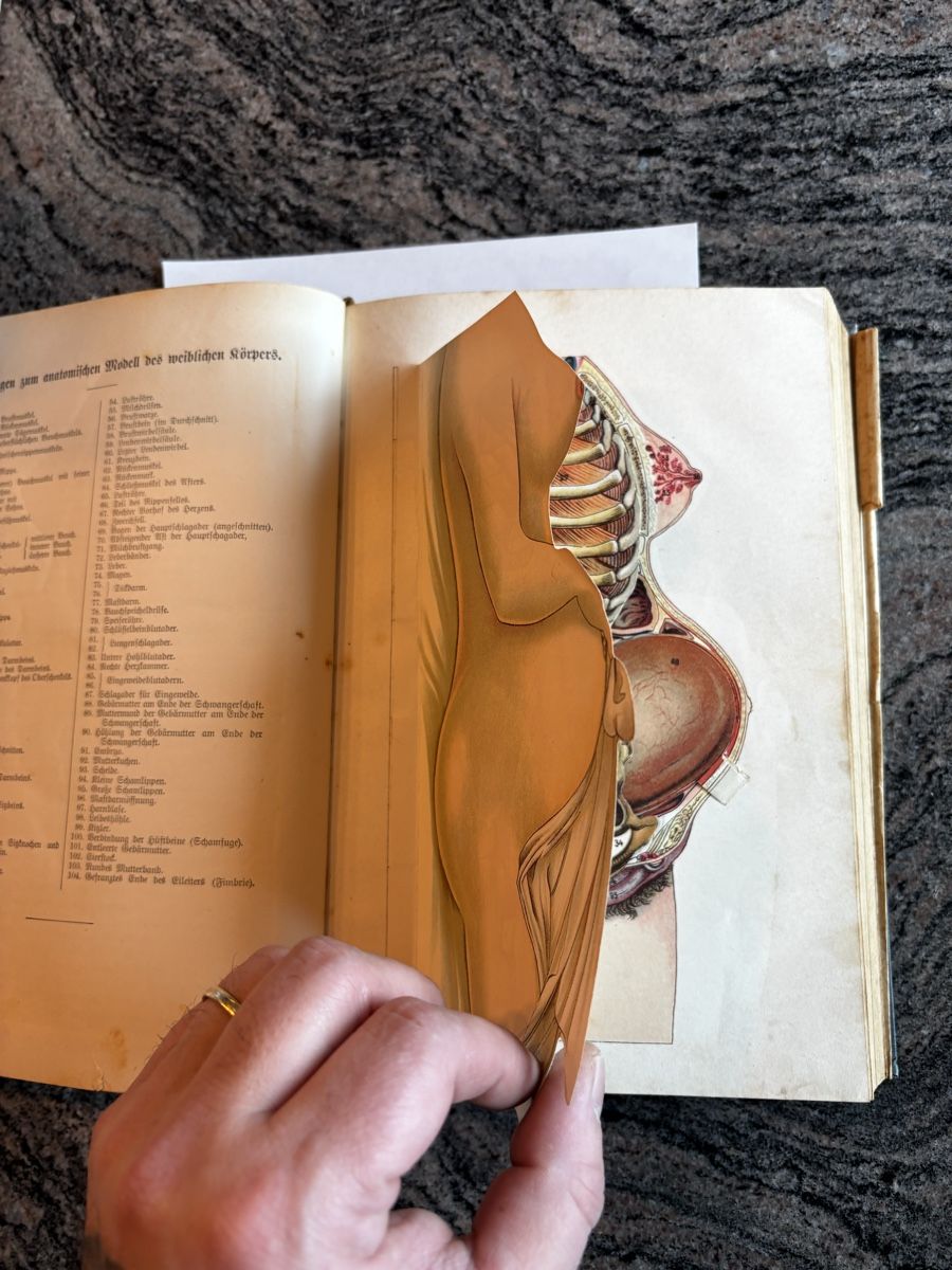 Libri: Buch / Sachbuch / Heilkunde 1903 – Usato da Emmenbrücke venduto da mel_7lqf 5