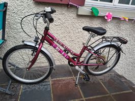 20 Zoll Kinder/Mädchen-Velo-Fahrrad