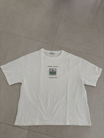 Herren T-Shirt ZARA Weiss Grösse L Motiv PRINT neuwertig