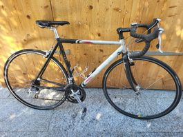 Pinarello Rennrad Vela Carbon Gabel Shimano Tiagra gebraucht