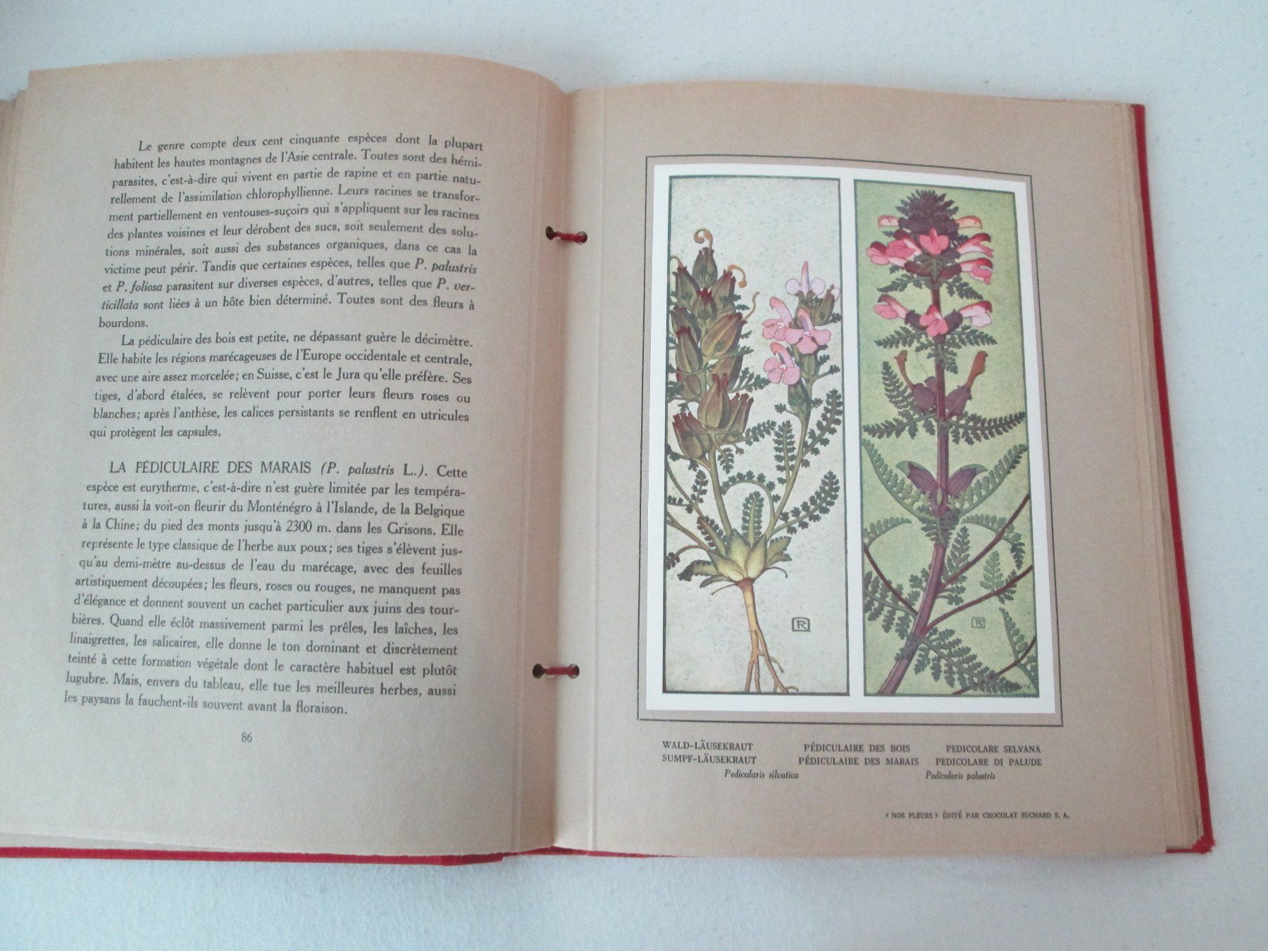 Livres: Nos Fleurs – D'occasion à Neuchâtel par Dualseele 8