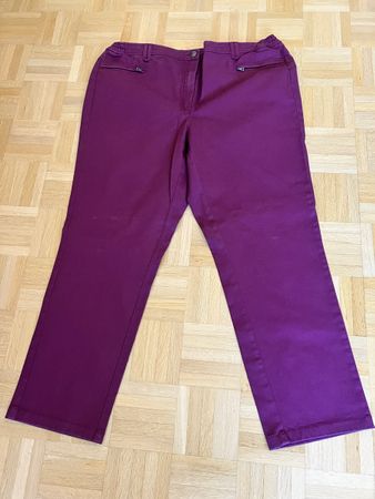 Hose in Prune