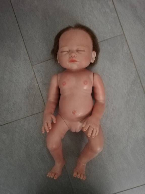 Bambole: Reborn Mit Zubehör – Usato da Ruswil venduto da Regu_Dream 2