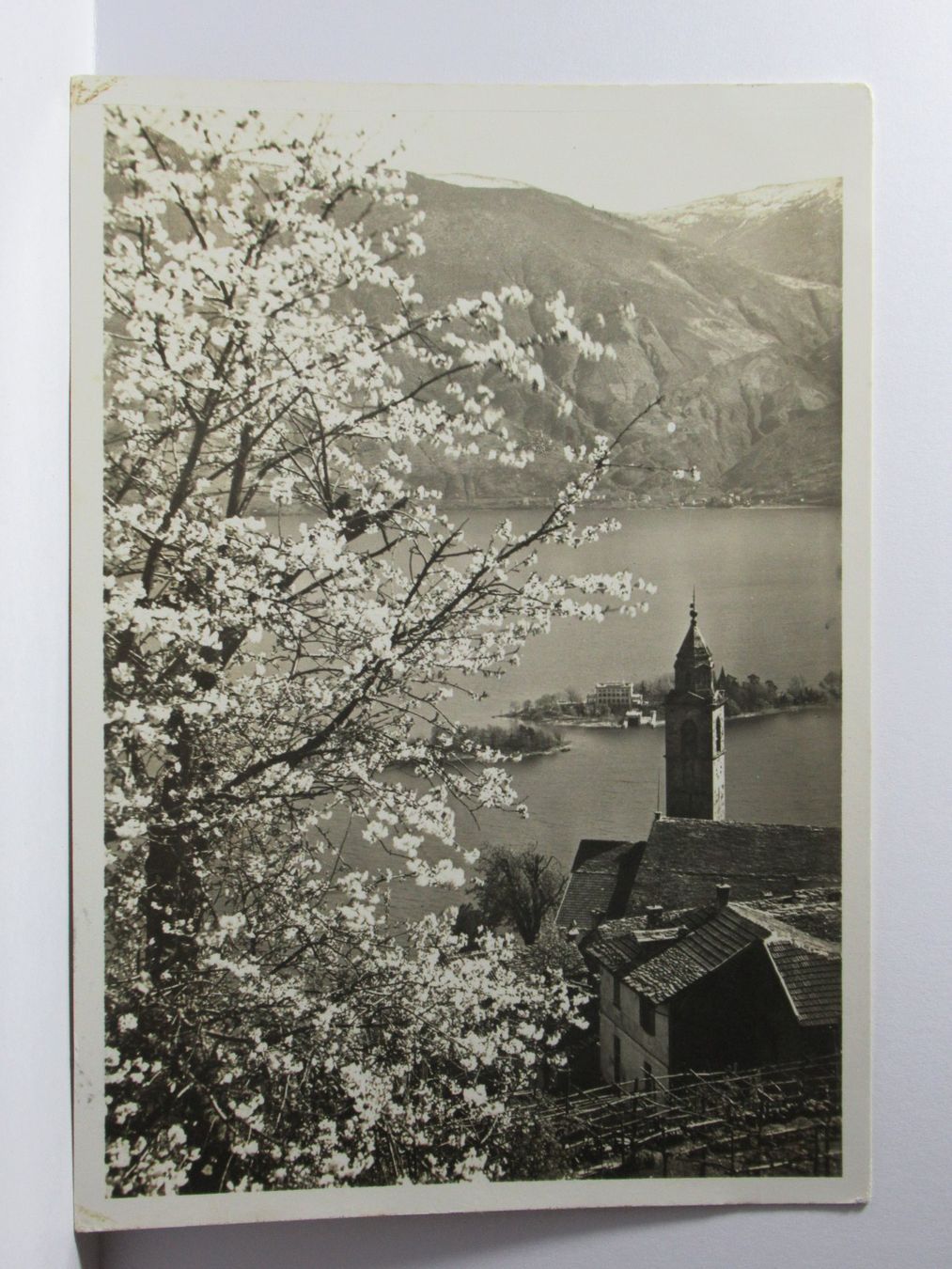 Cartoline postali: Ronco - Ascona – Usato da Grenchen venduto da frechri