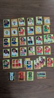 Panini WM 2026 -  28 Spieler, 4 FCW, 2 CC und 6 Team Wappen