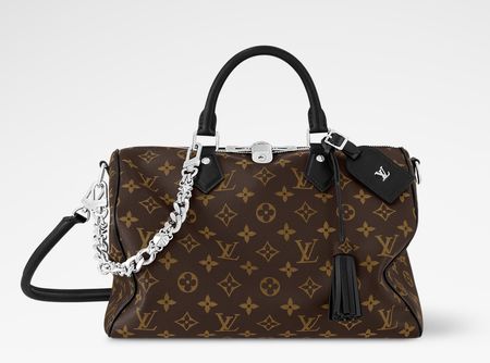 Sac Louis Vuitton Speedy