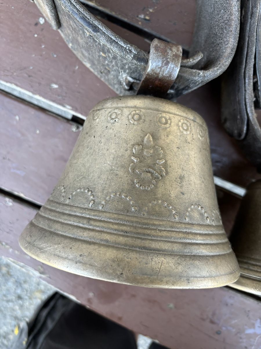 Campanacci mucche: 2 Antike Weideglöggli – Usato da Schangnau venduto da Roseggli82 4