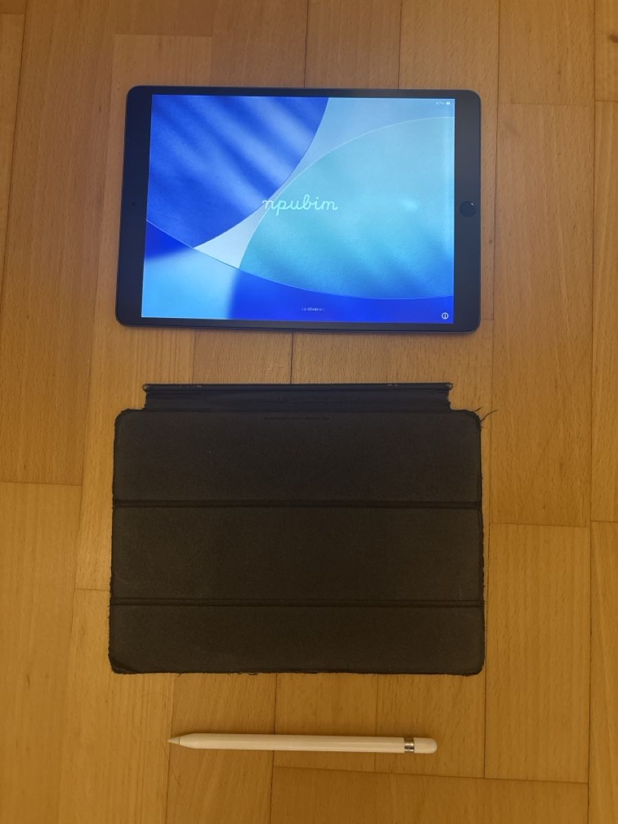 Apple Tablet PC: Ipad Air 2018 – Usato da Steinhausen venduto da rommy24