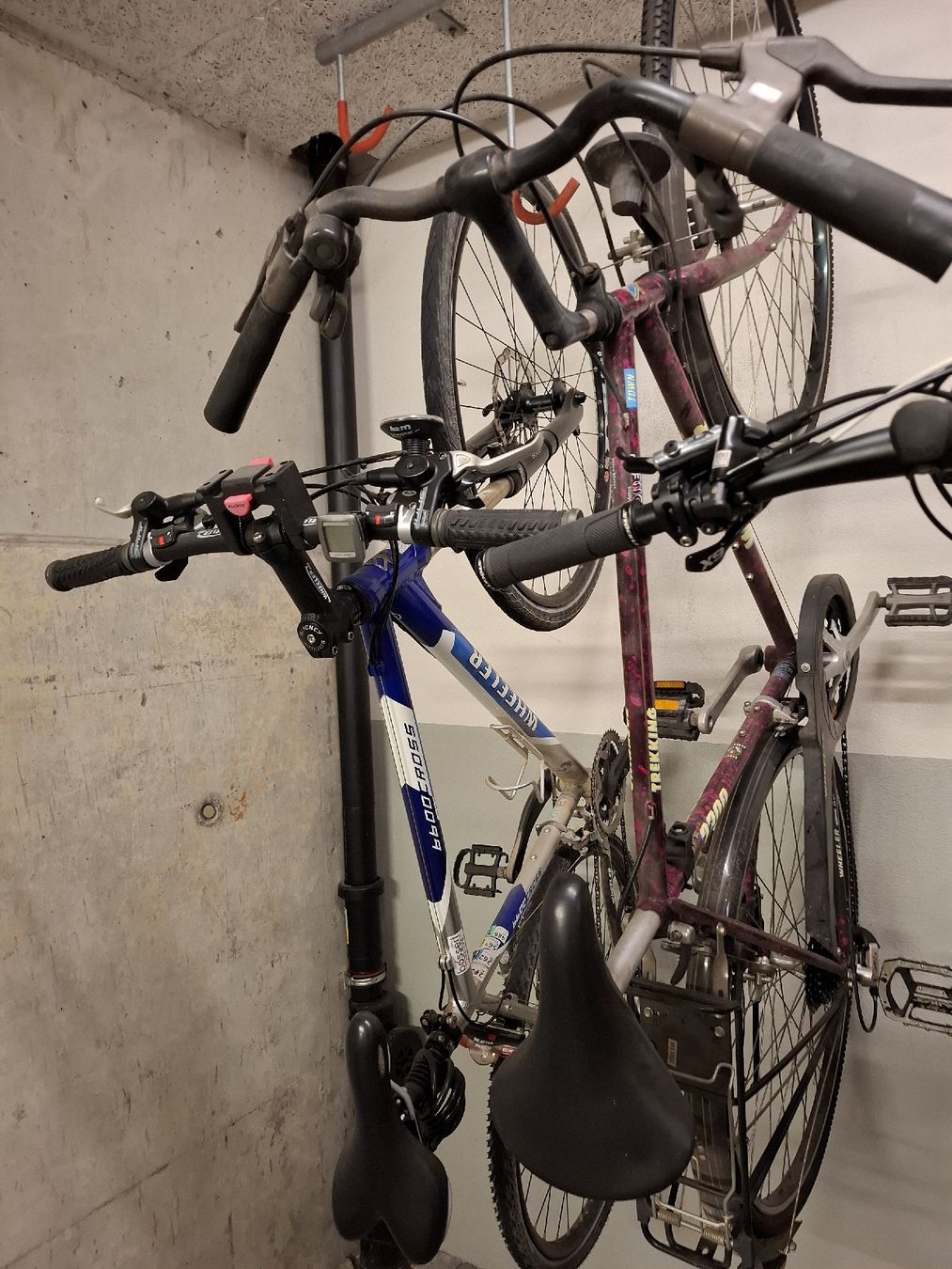 Vélos: 2 Herren Velo – D'occasion à Willisau par Billi45