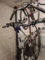 2 Herren Velo