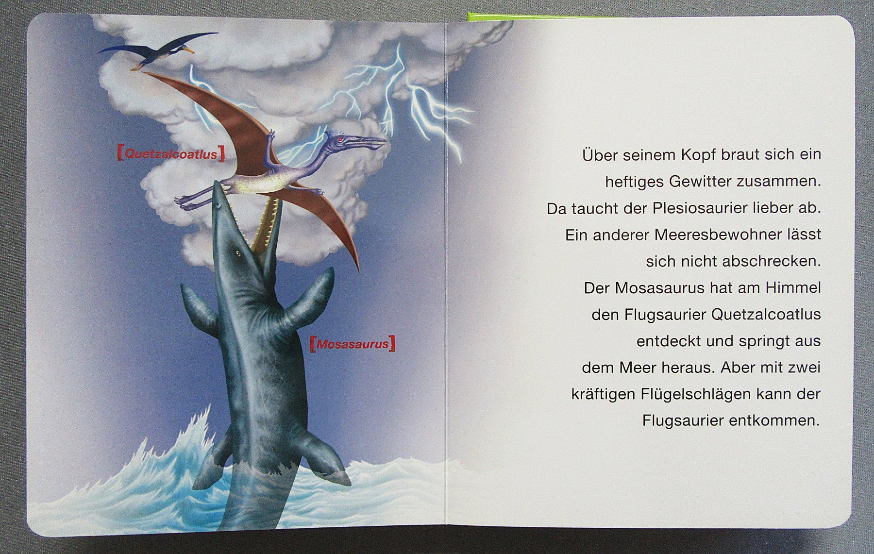 Bücher: Dinosaurier - Dinostarkes Vorlesebuch - Kindersachbuch – Gebraucht aus Auenstein von Padabimbim 8