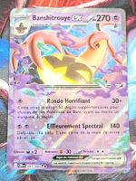 Pokemon Gourgeist ex 041/086 Chaos Rising FR