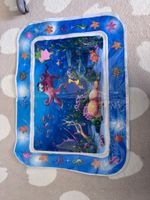 Wasserspass Spielmatte Sommer Meerestiere Action Neuwertig! 