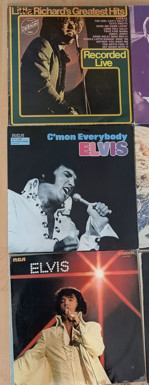 Dischi in vinile: Rock n Roll+ Pop Sammlung 28 LPs – Usato da Sarmenstorf venduto da bw68 5