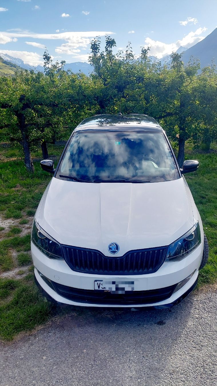 Skoda Automobili: Skoda Fabia édition R5 – Usato da Sion venduto da Rouissou