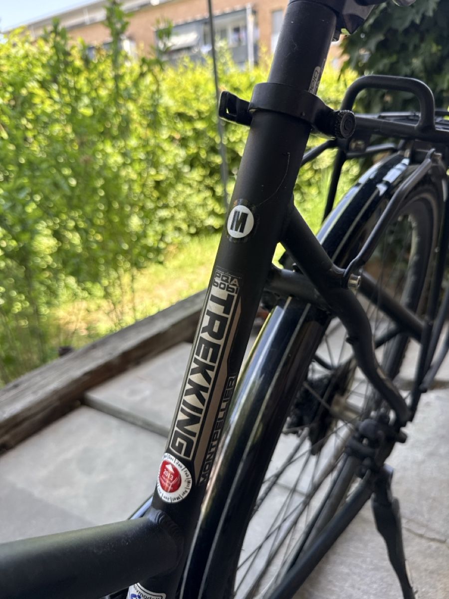 Rixe Velos: Fahrrad Damen – Gebraucht aus Unterkulm von reb_lj7b 2
