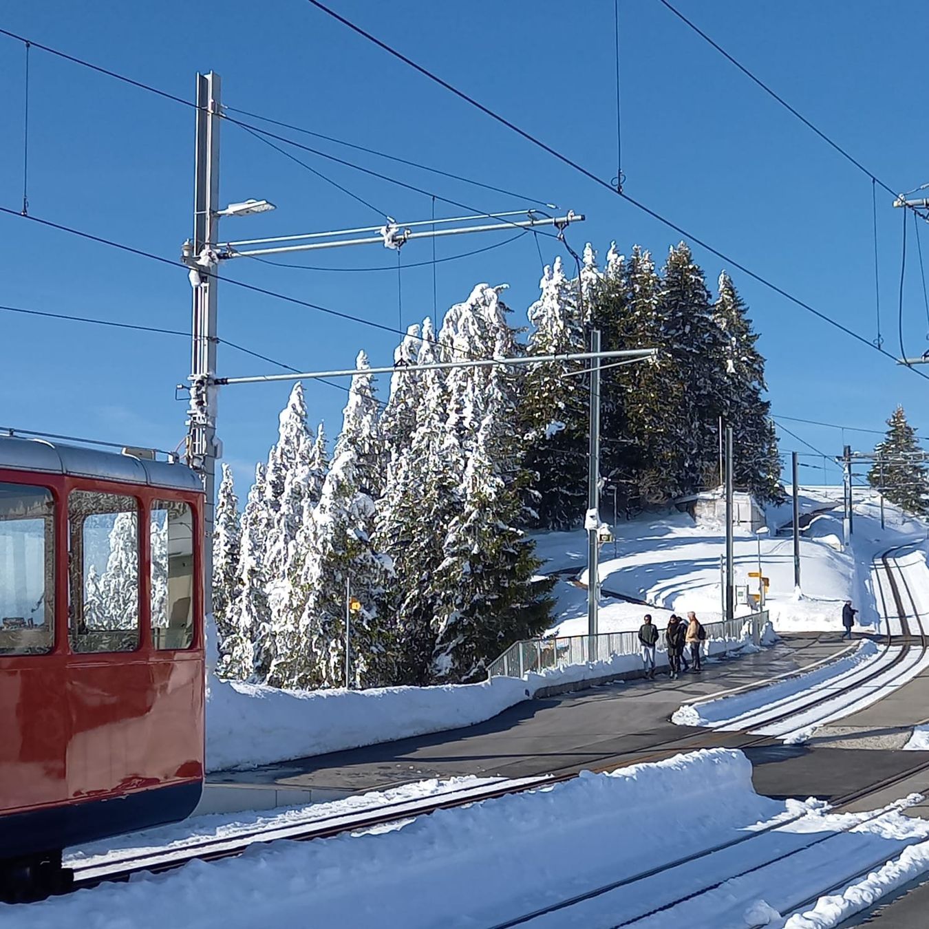 Tickets: Rigi - königliche Rundfahrt ab Luzern – Neu und originalverpackt aus Hünenberg von Suerli 2