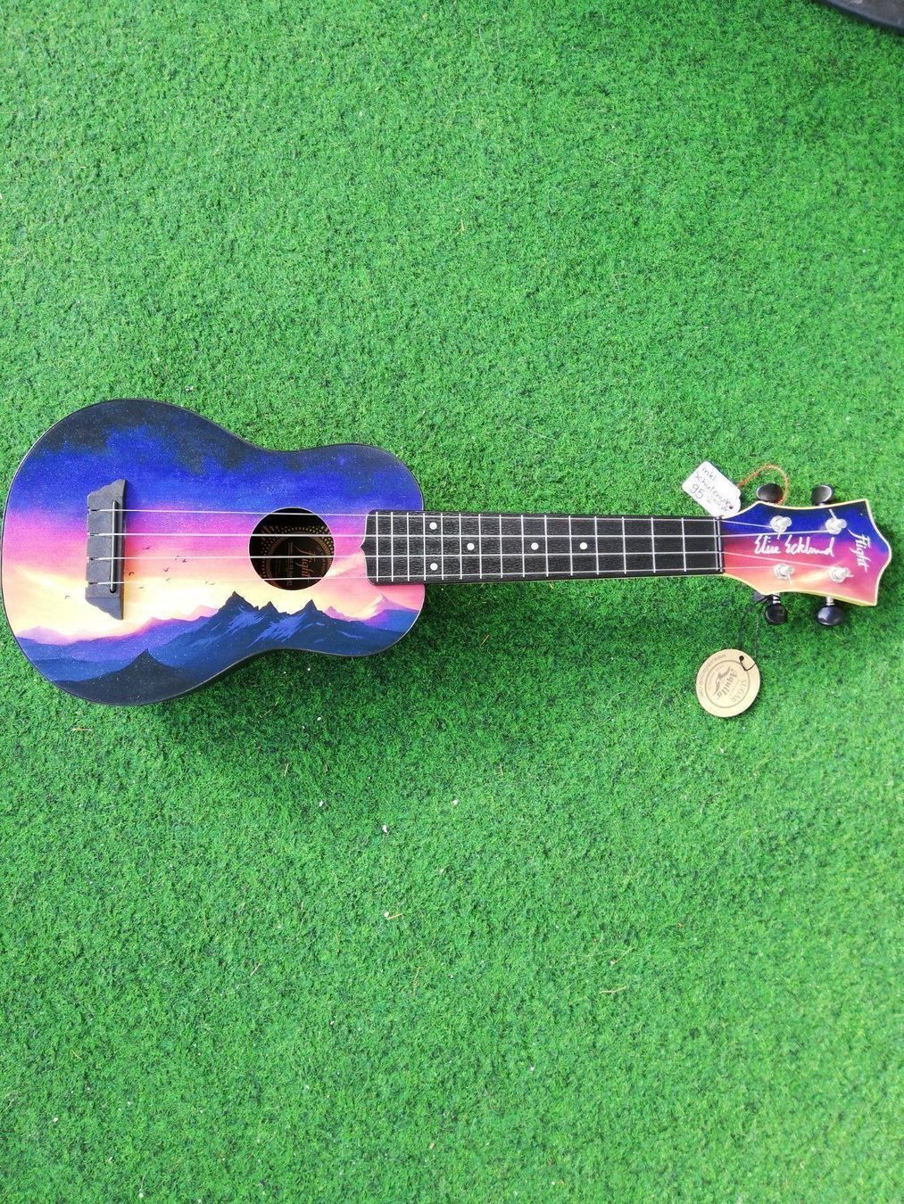 Musikinstrumente: Ukulele mit Spielhilfe und Schützhülle – Neu und originalverpackt aus Davos Platz von wauwauin 1
