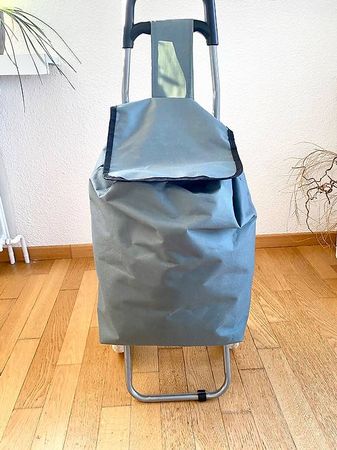 Borsa per spesa con ruote
