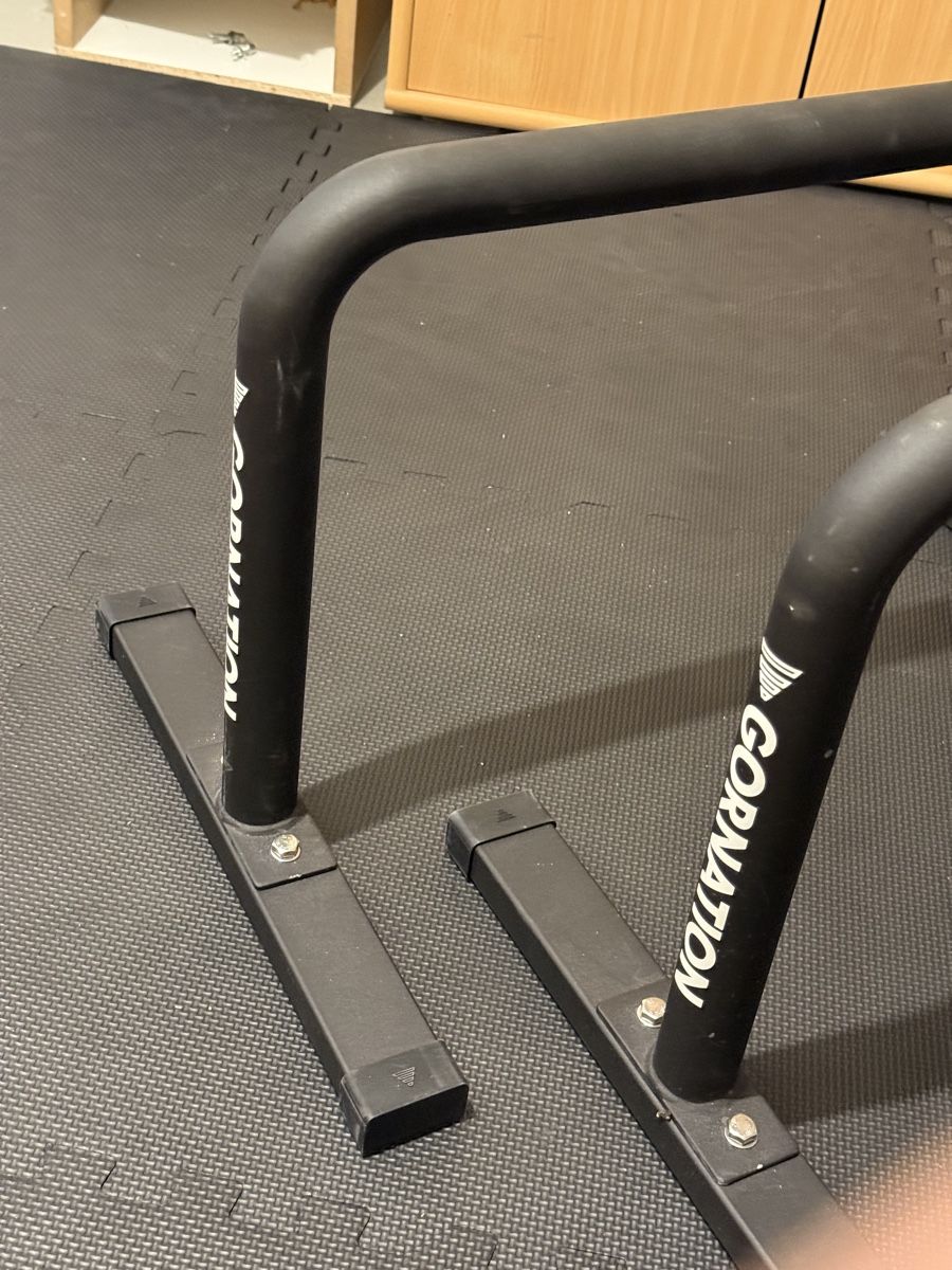 Hometrainer: Gornation Metal Parallettes – Usato da Riazzino venduto da fasterrrpilot 2
