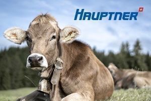 Buoni: Fr. 15.- HAUPTNER Gutschein – Nuovo e nell'imballaggio originale da Chur venduto da smart.shopper 1