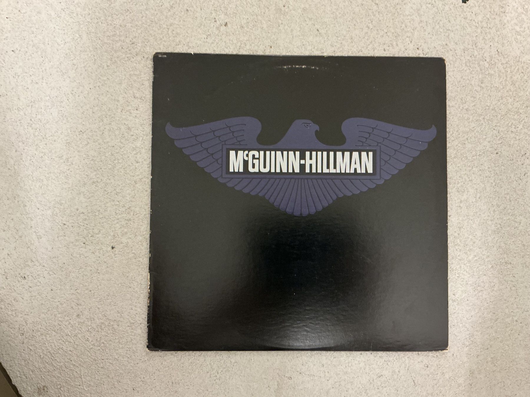 Dischi in vinile: McGuinn-Hillman LP – Usato da Winterthur venduto da Tumko_7_Vinyl