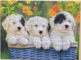 Ravensburger Puzzle, Hundewelpen, 200 Teile, XXL, komplett