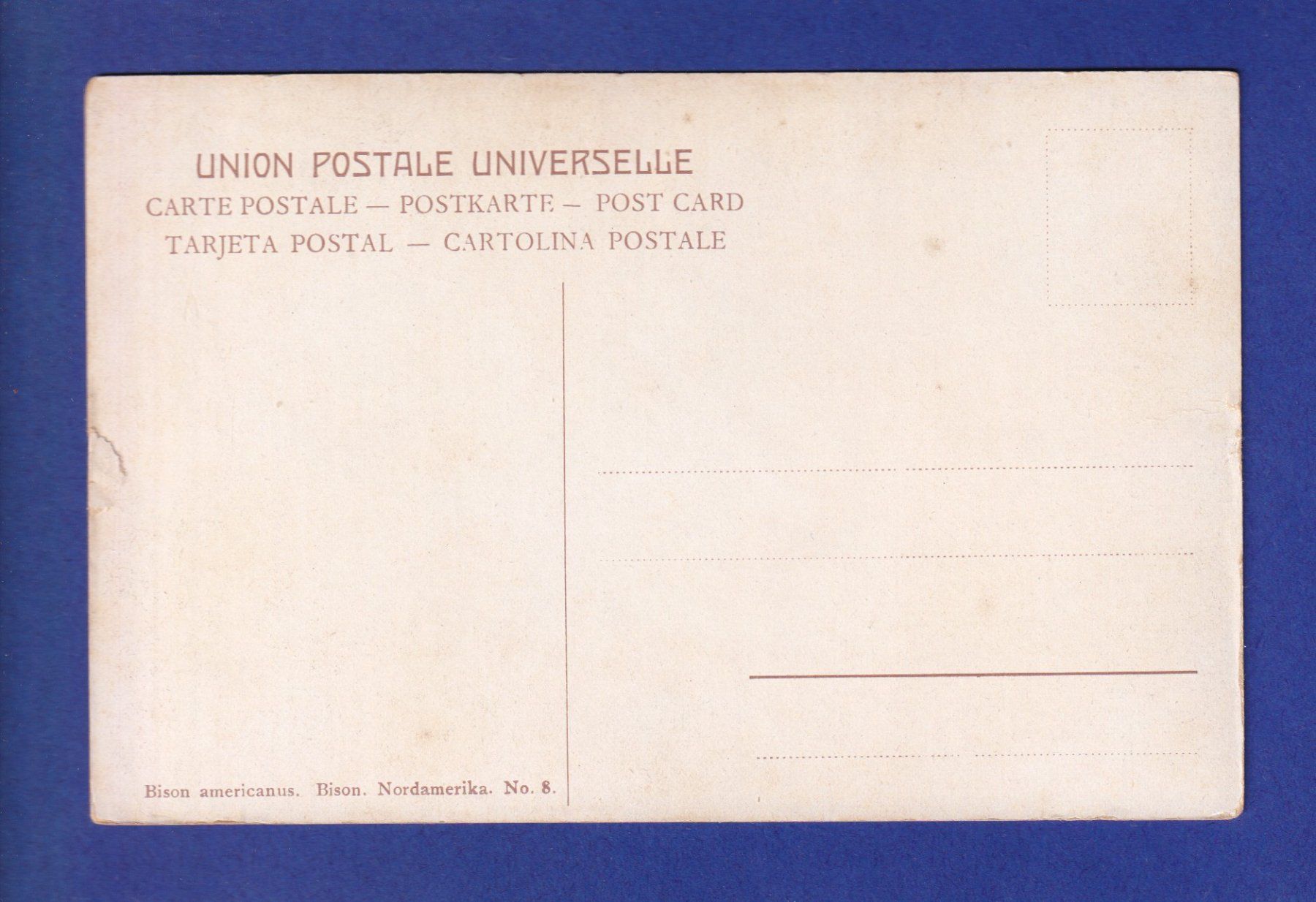Cartoline postali: BISON – Usato da Pully venduto da nicecards-shop 1