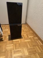 Vintage Philips Lautsprecher 