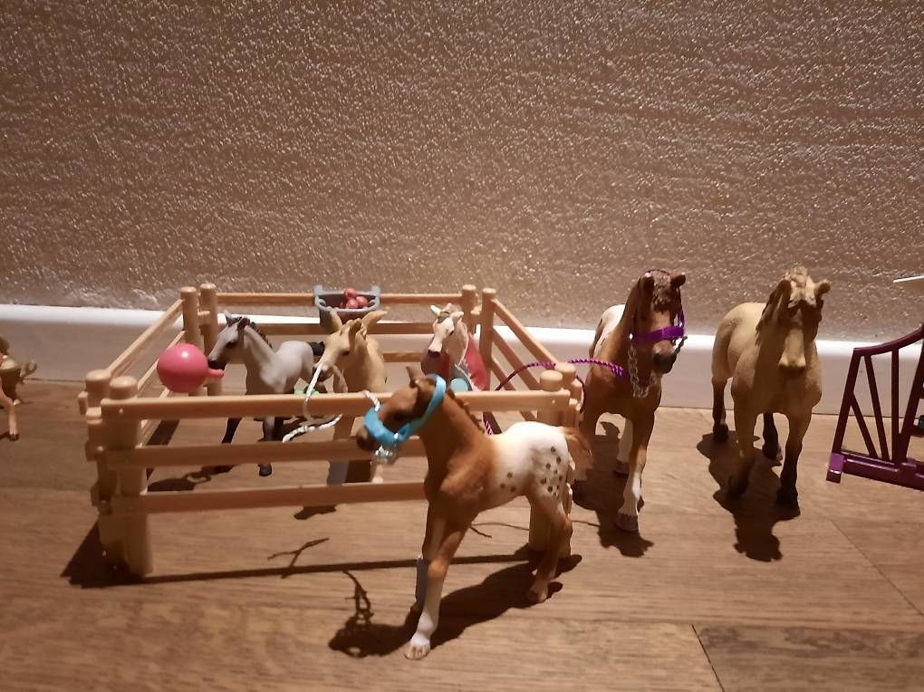Giocattoli: Schleich verschiedenes Zubehör – Usato da Dozwil venduto da bienemaya012 2