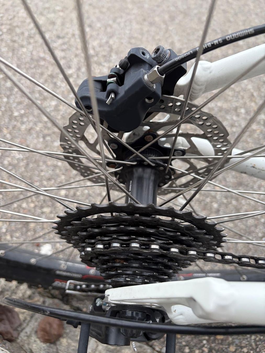 Biciclette: Mountenbike  – Usato da Kappel SO venduto da Ozone01 4