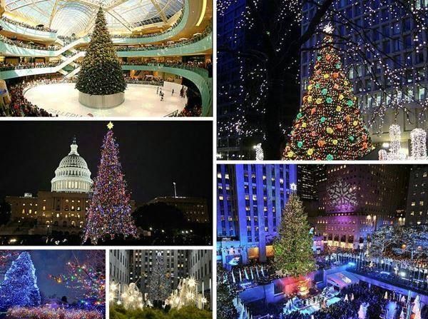 Lampade: neu LED Lichterkette Weihnachtslichterke 10m – Nuovo e nell'imballaggio originale da Amriswil venduto da JaJa-Express 1