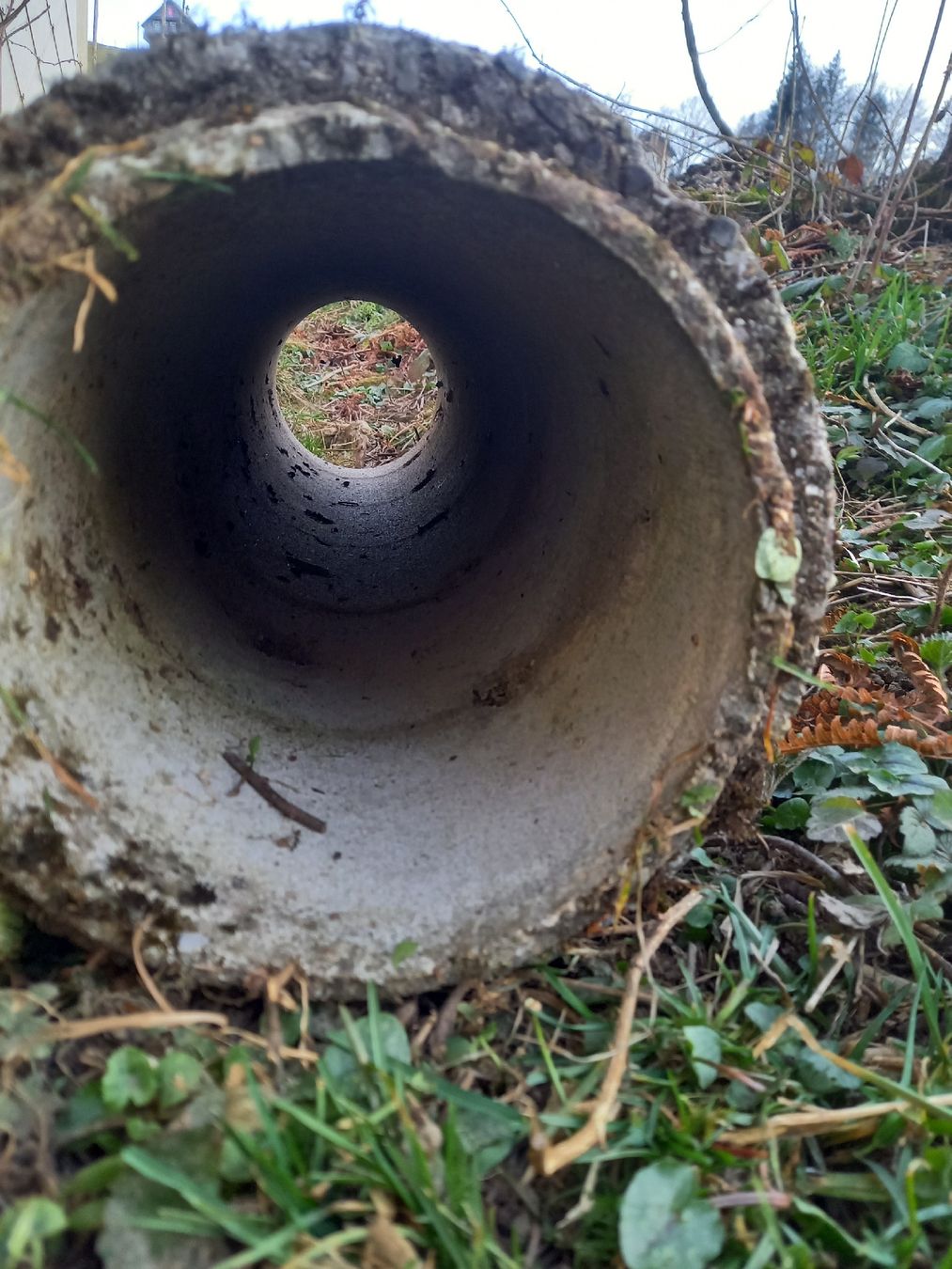 Stagni & Fontane ornamentali: Gebrauchtes Betonrohr, 20 cm Durchmesser – Usato da Galgenen venduto da Allerlei8854 4