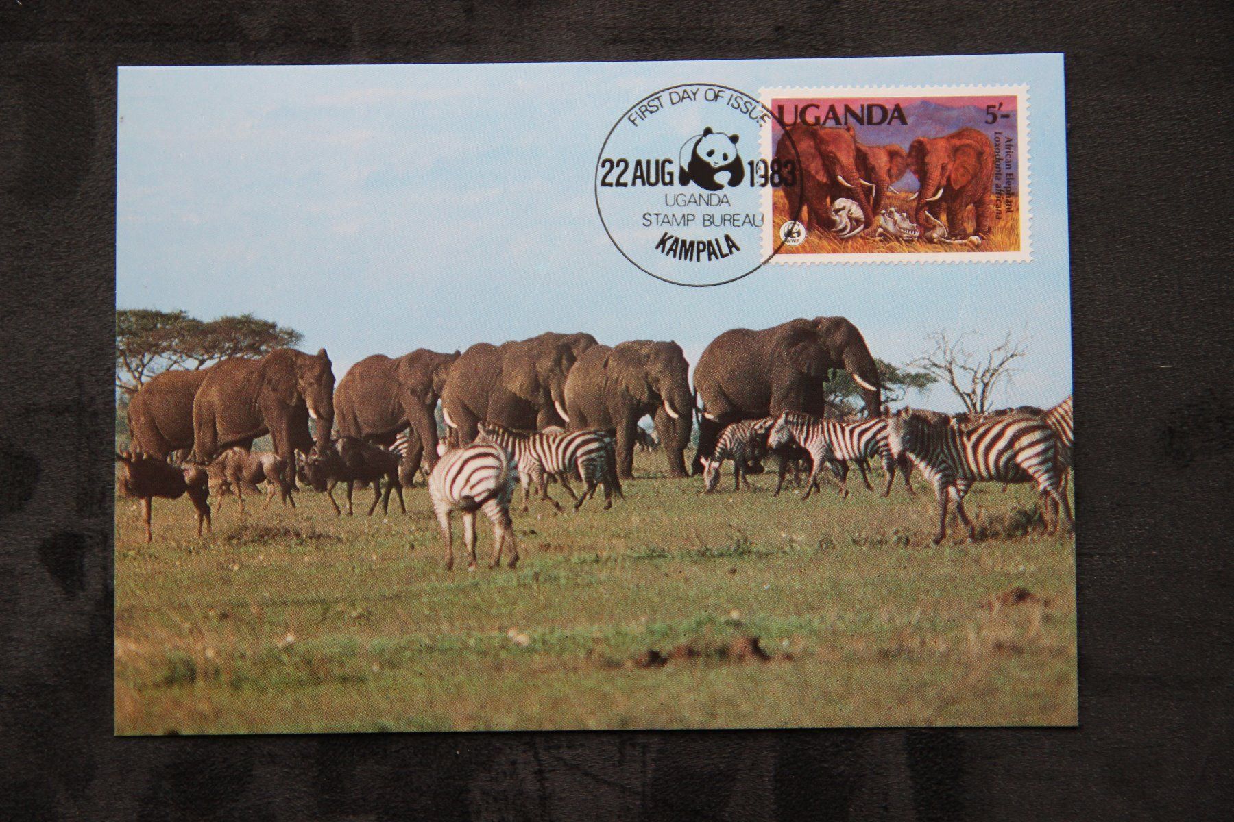 Alle Briefmarken: Uganda 1983 - Maximumkarten - Elefanten (WWF) – Neu (gemäss Beschreibung) aus Jona von Southafrica07 1