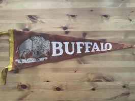 Souvenir wimpel orginal aus den USA