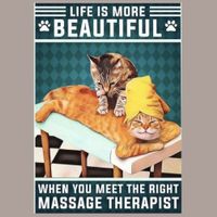 🔥 LIFE IS BEAUTIFUL Katzen Blechschild 🎀 20x30cm OVP 🔥