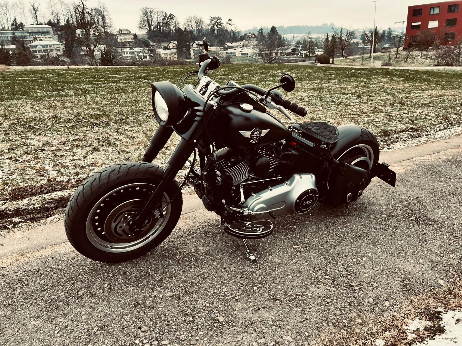 Harley-Davidson Chopper: Harley Davidson FLSTFB 103 – Usato da Unteriberg venduto da fabiankalin 2