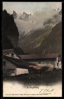 AK Engelberg, Hôtels et Pensions mit Kuh