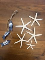 Maritimes Deko Set: 5 Seesterne & 3 Fische