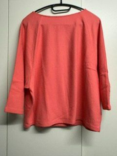 Someday Maglioni & Felpe: SOMEDAY Pullover corall 38 – Usato da Gommiswald venduto da Anika6