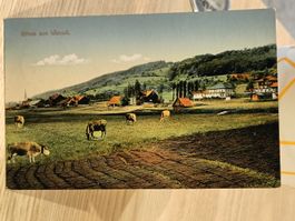 Alte PK / Gruss aus Wauwil - Gelaufen 1920