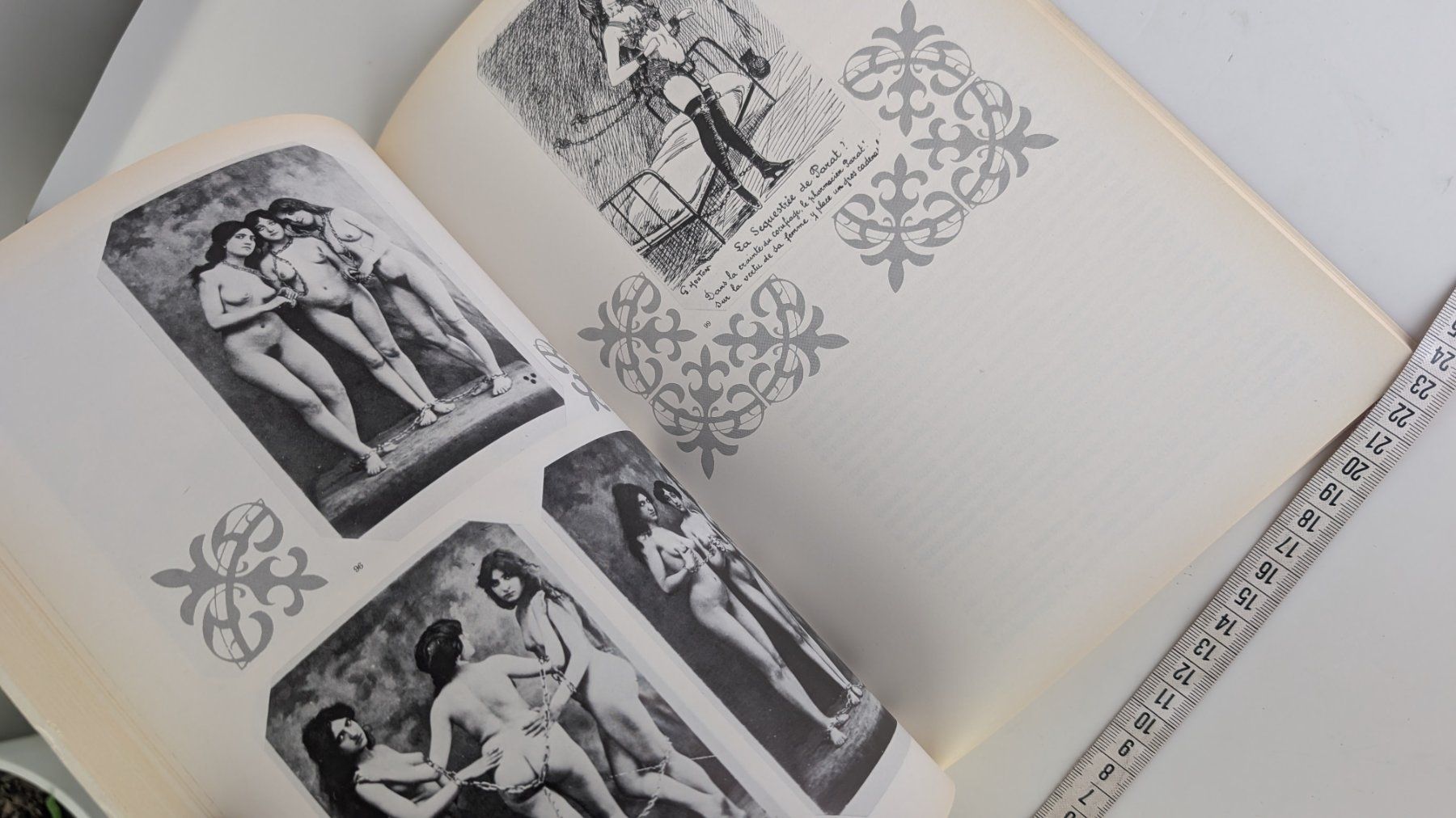 Libri: Buch "French Undressing" - Naughty Postcards, Vintage! – Usato da Zürich venduto da axolottchen 9