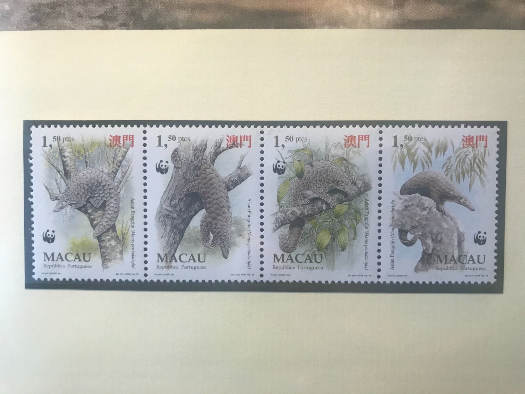 Alle Briefmarken: Macao 1995 Satz WWF Chinesisches Schuppentier postfrisch – Neu (gemäss Beschreibung) aus Winterthur von schnueps