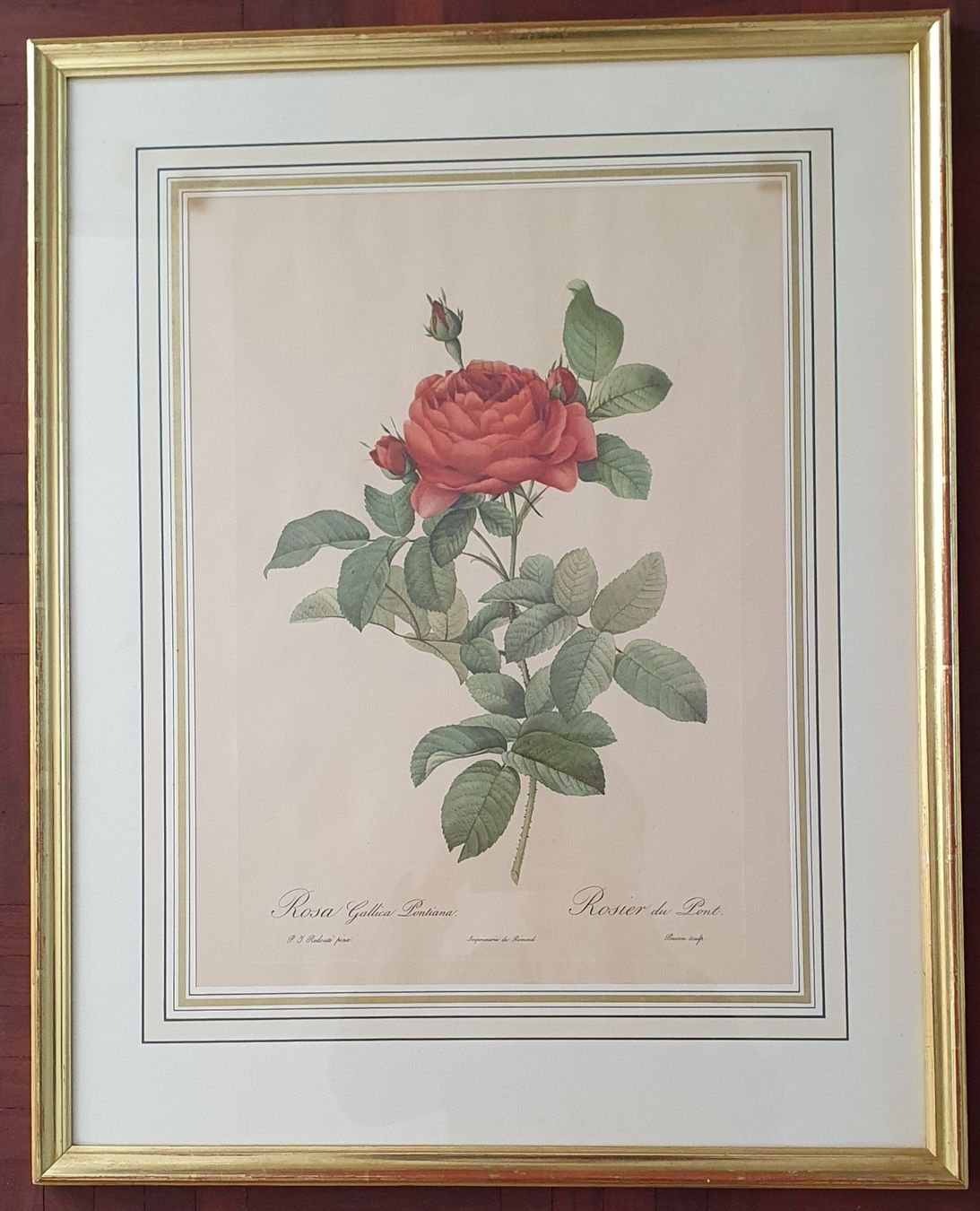 Poster & Bilder: 2 grosse Rosen Bilder im Goldrahmen – Gebraucht aus Kreuzlingen von Rschweiz1 1